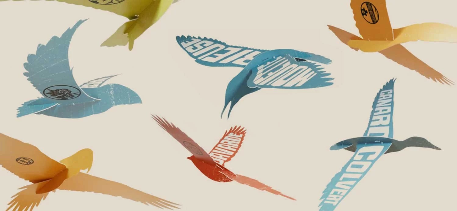 Visuel officiel de l'exposition Plumes et Cie. Image de plusieurs maquettes d'oiseaux de toutes les couleurs.