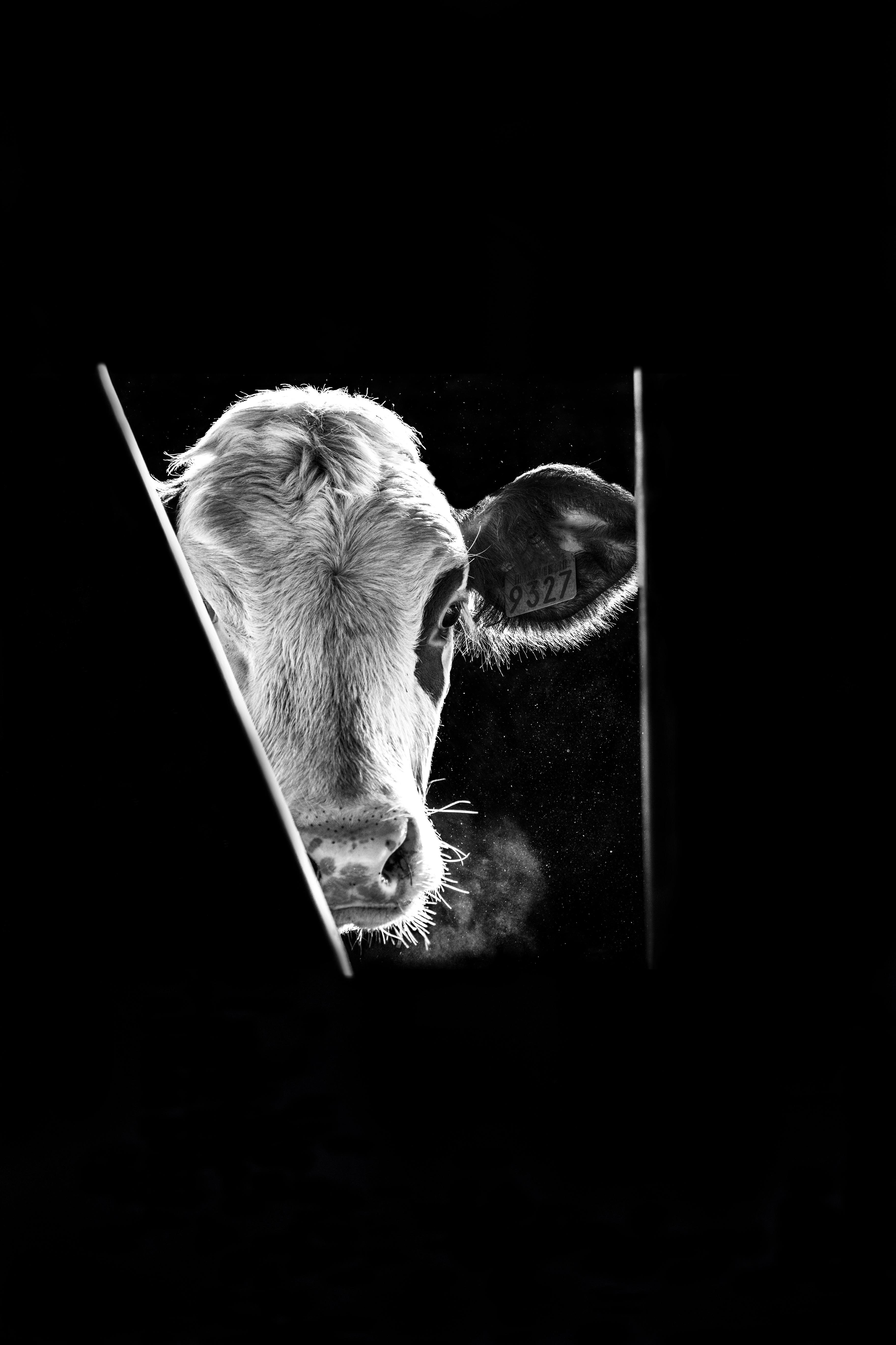 regards
